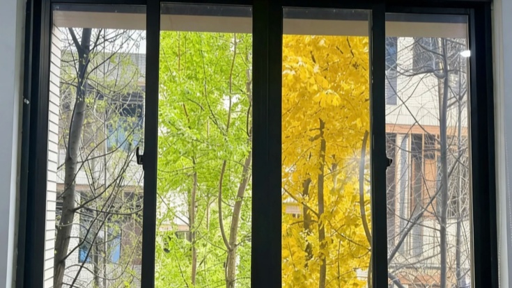 The window and the seasons outside